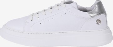 Apple of Eden Sneakers ' SAMIR ' in White