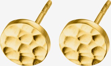Steelwear Earrings 'santa monica' in Gold: front