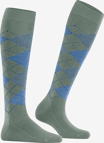 BURLINGTON Over the Knee Socks 'Whitby' in Green: front