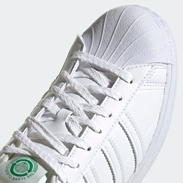 Baskets basses 'Superstar' ADIDAS ORIGINALS en blanc