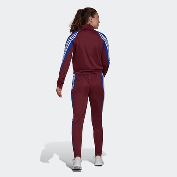 raudona ADIDAS SPORTSWEAR Treniruočių kostiumas