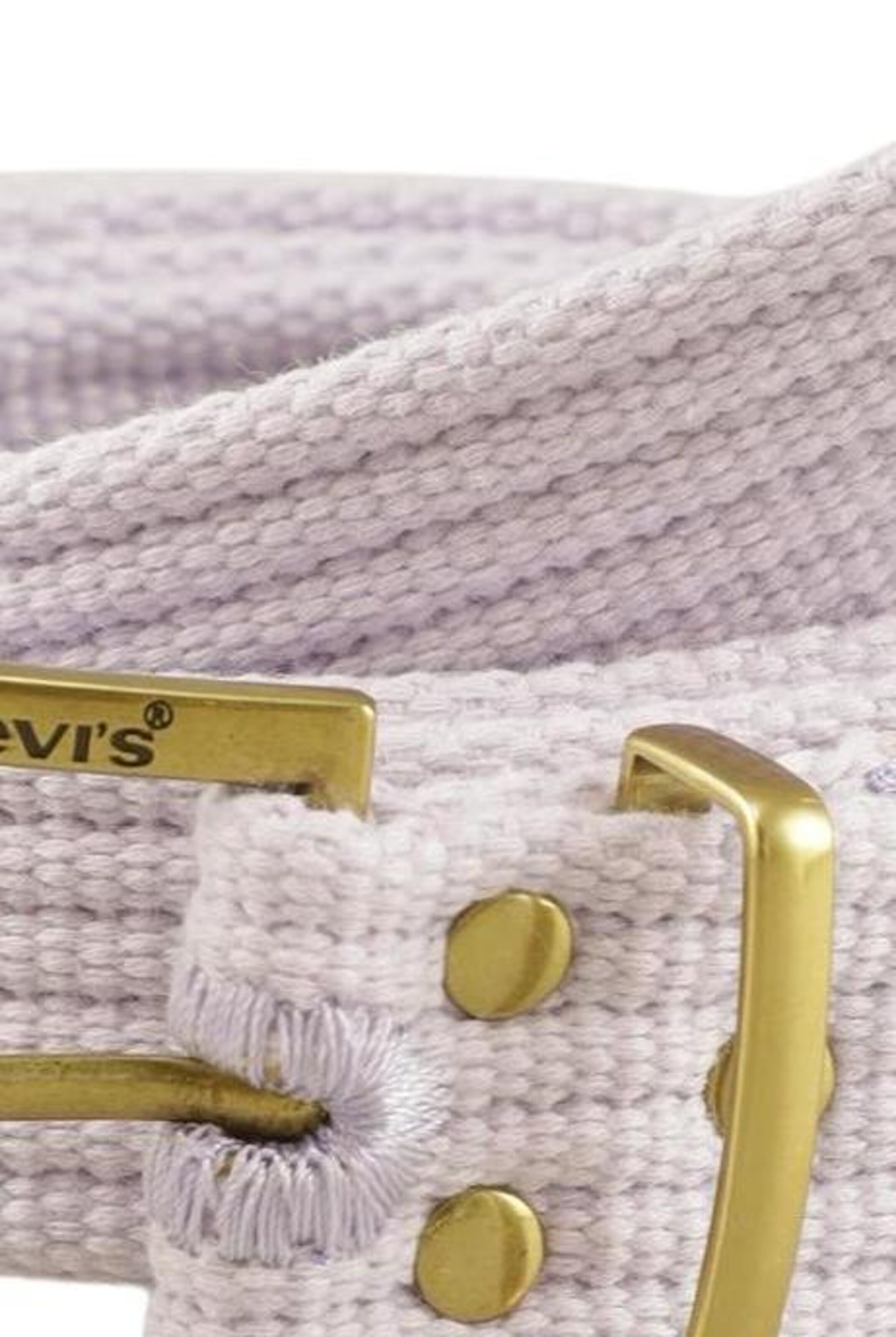 LEVI'S ® Belt in One size in Purple