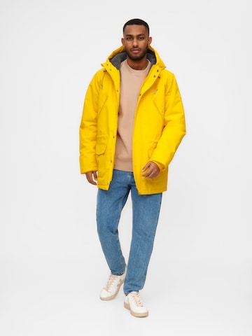 Derbe Winter Parka 'Festholm' in Yellow