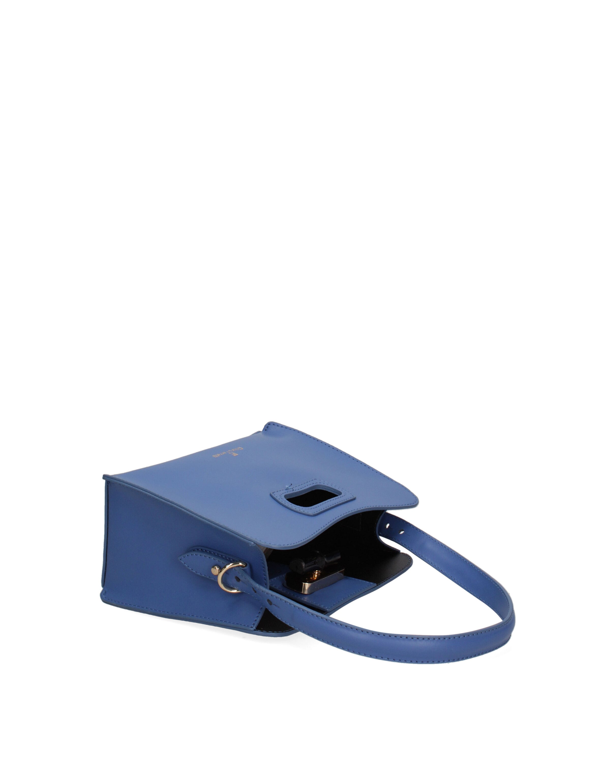 Chiara Ferretti Handbag in Blue