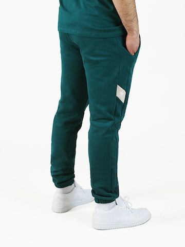 Regular Pantalon 'Ludis' SPITZBUB en vert