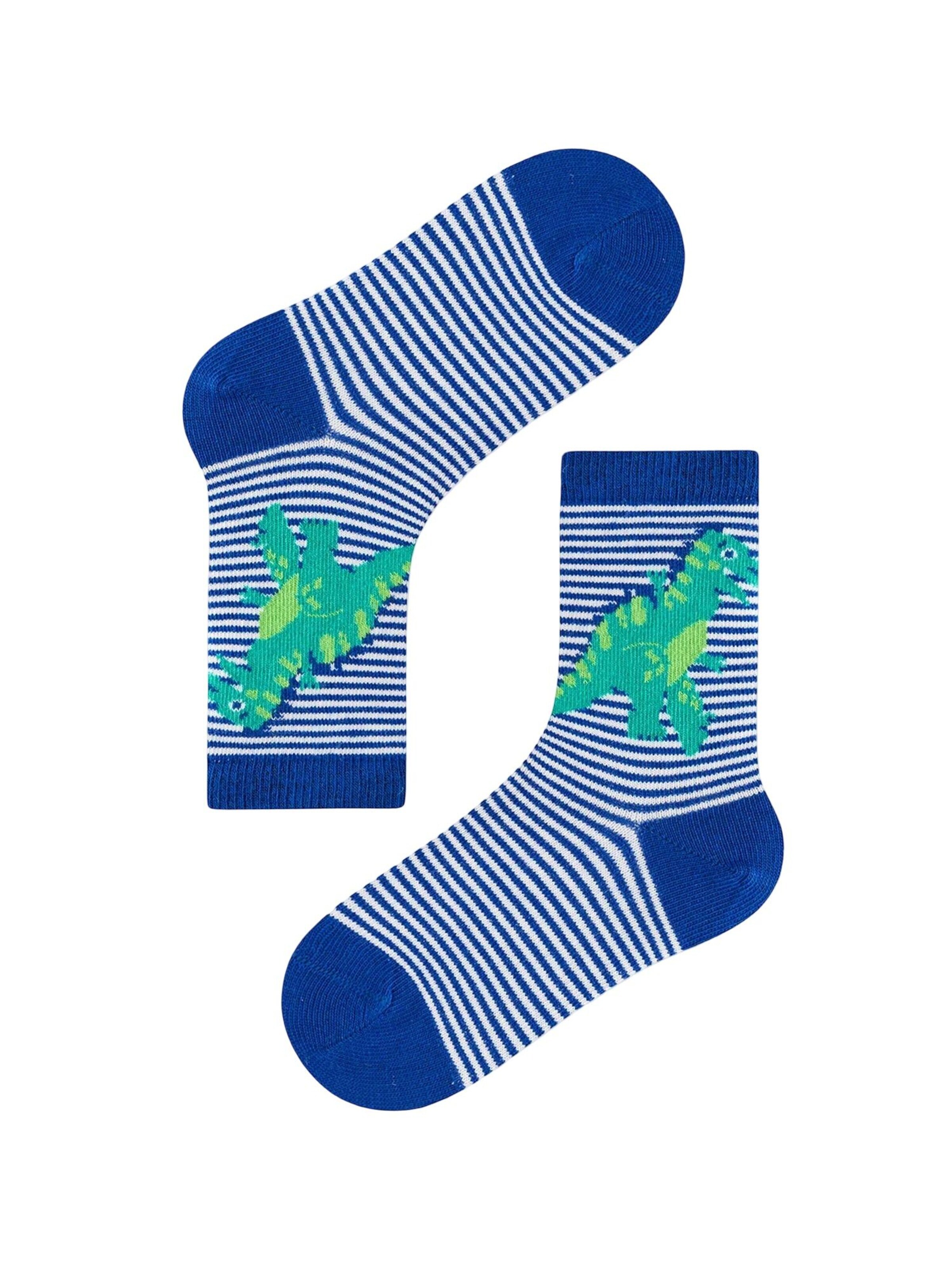 Penti Socken 'PENTI 4er-Pack Jungen Crew-Socken mit Drachen-Dinosaurier-Muster'‌‌‌‌‌‌‌‌‌‌ in Mischfarben