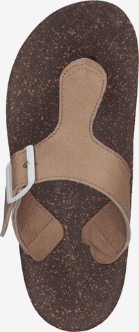 Asportuguesas Mules in Brown