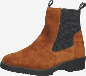 Chelsea Boots Ganter en marron : devant