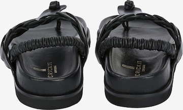 Crickit T-Bar Sandals in Black