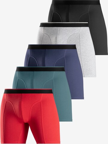 Authentic Le Jogger Boxer shorts in Mixed colors: front