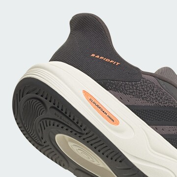 ADIDAS SPORTSWEAR - Zapatillas deportivas bajas 'Cloudfoam Cuxxion Rapidfit' en gris