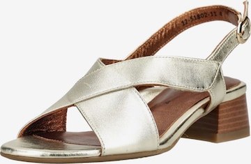 Sandalo di ARA in argento: frontale