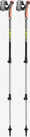 LEKI Stock 'Traveller Alu' in Grau: Vorderseite