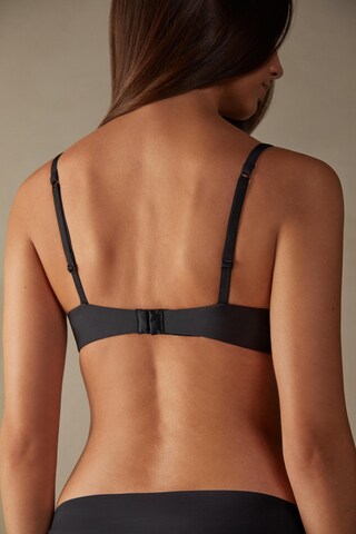 INTIMISSIMI Balconette BH in Schwarz