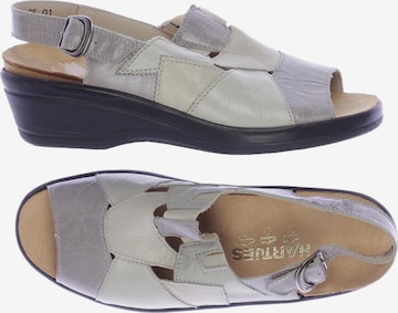 Hartjes Sandals & High-Heeled Sandals in 35 in Grey: front