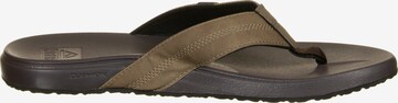 REEF Beach & Pool Shoes 'Phantom' in Brown