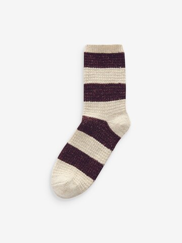 Next Socks in Beige