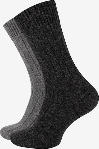 Cotton Prime Sokken in Grijs: voorkant