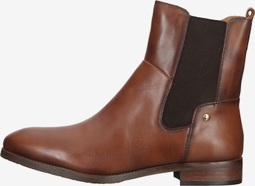 PIKOLINOS Chelsea boots in Bruin