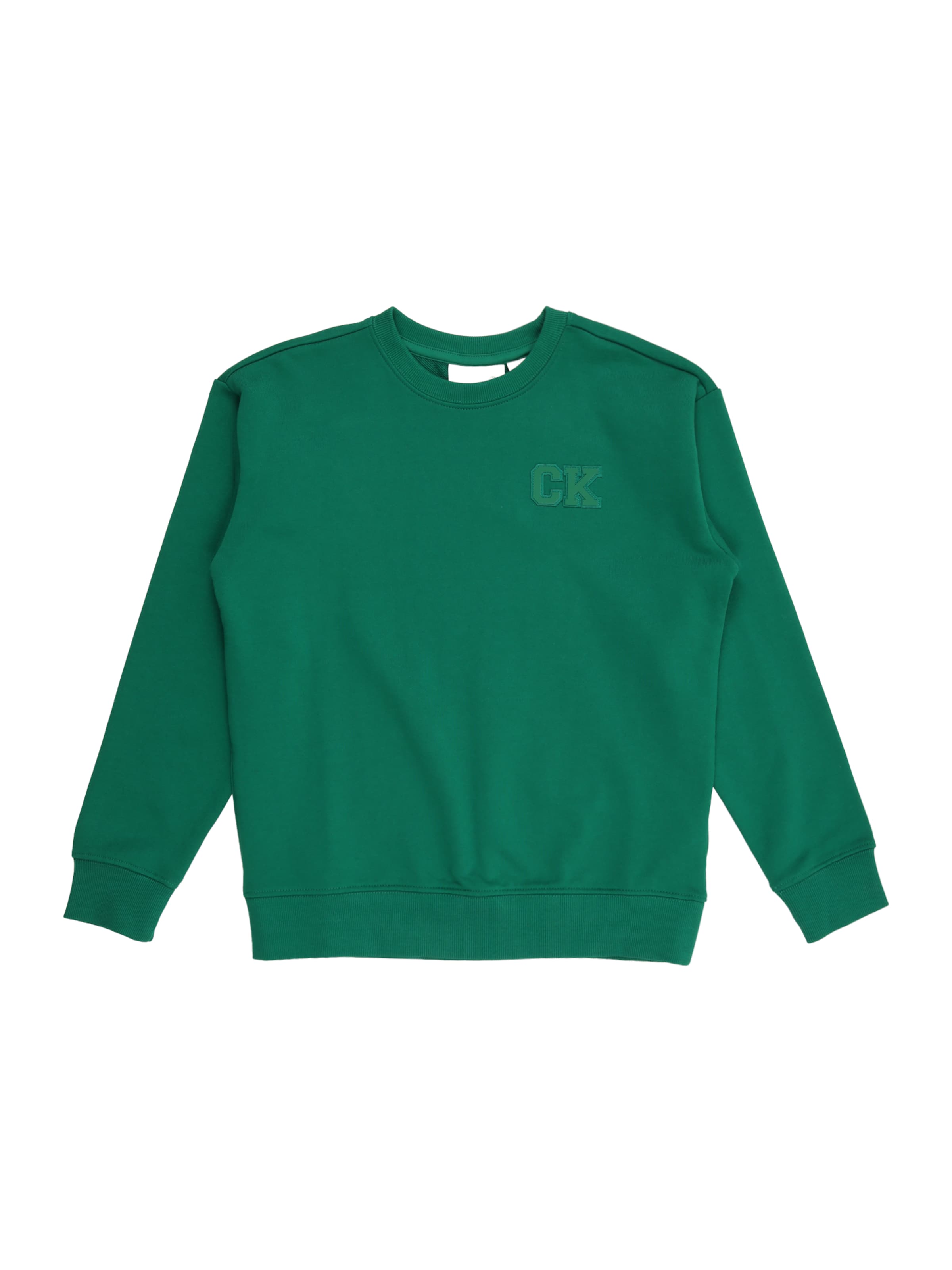 Calvin Klein Jeans Μπλούζα φούτερ σε πράσινο: μπροστά