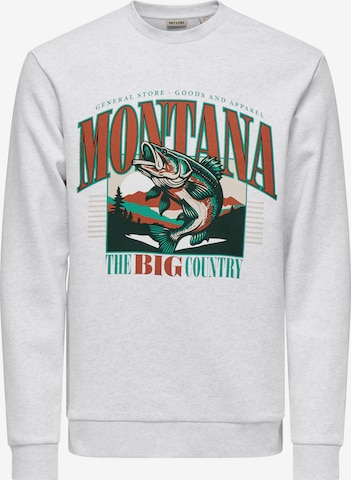 Only & Sons Collegepaita 'ONSCERES' värissä harmaa: etupuoli