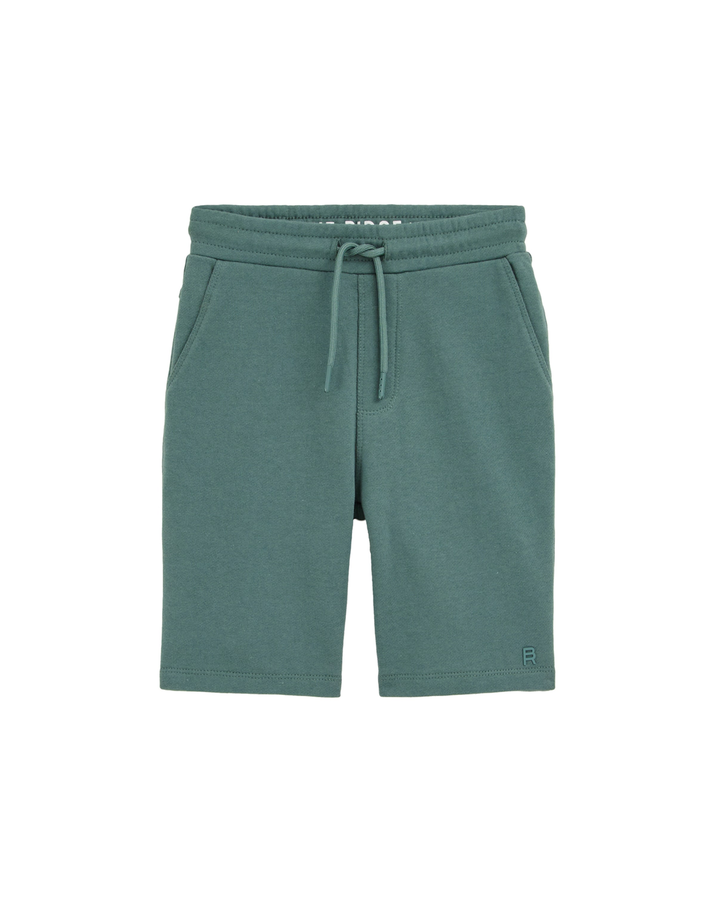 WE Fashion Regular Панталон в зелено: отпред