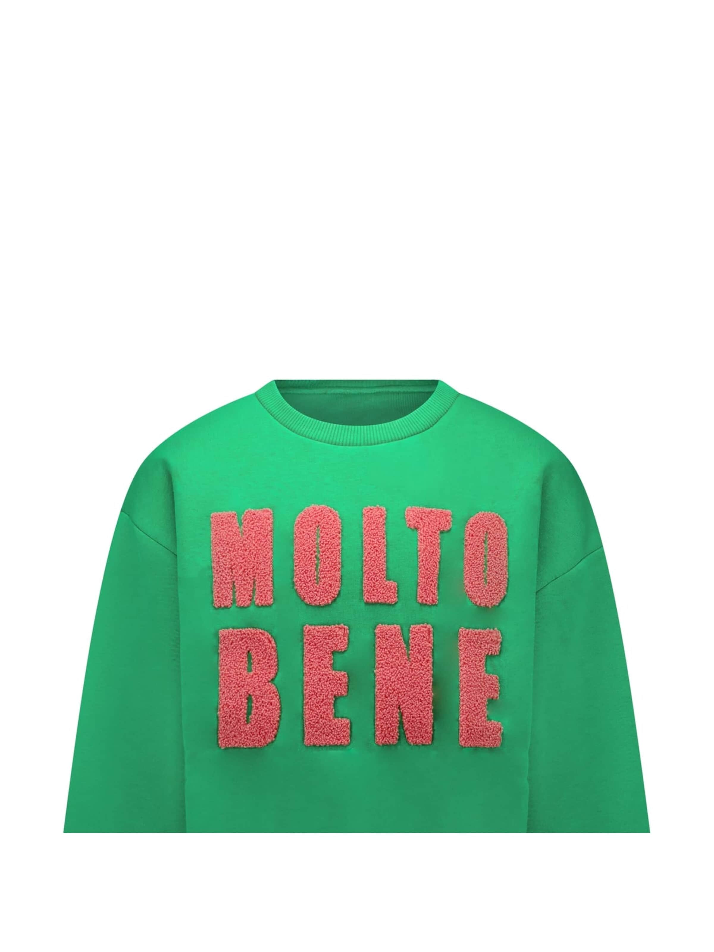 CARS Sweatshirt in Green