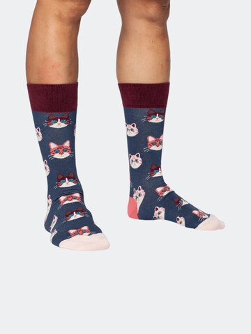 DillySocks Socken 'Precious Pets' in Mischfarben