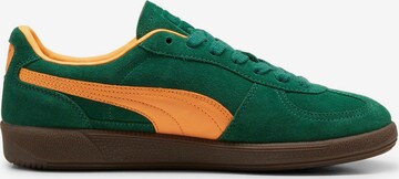 PUMA Trampki niskie 'Palermo' w kolorze zielony