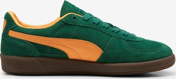 Baskets basses 'Palermo' PUMA en vert