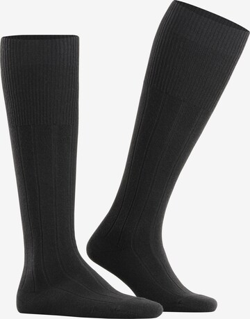 FALKE Knee High Socks 'Lhasa Rib' in Black: front