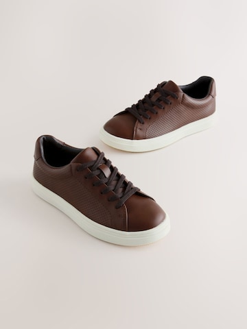 Next Sneakers in Bruin