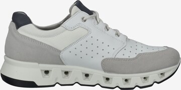 IGI&CO Sneakers in Grey