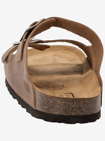 CAMEL ACTIVE Mules in Brown