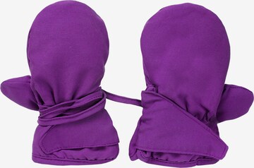 MAXIMO Gloves in Purple: front