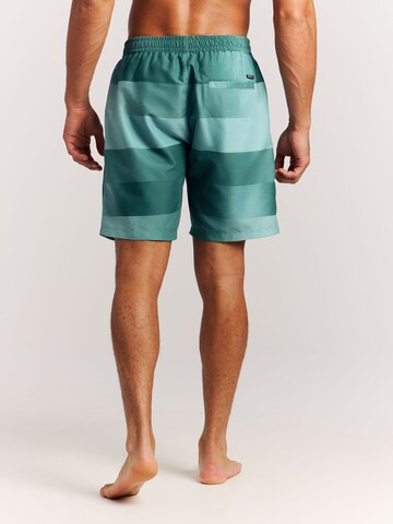 PROTEST Badeshorts 'PRTLomond'‌‌‌ in Grün