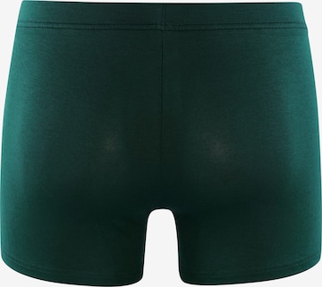 HOM Boxer shorts in Green