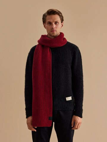 DAN FOX APPAREL Scarf 'Jona' in Red: front