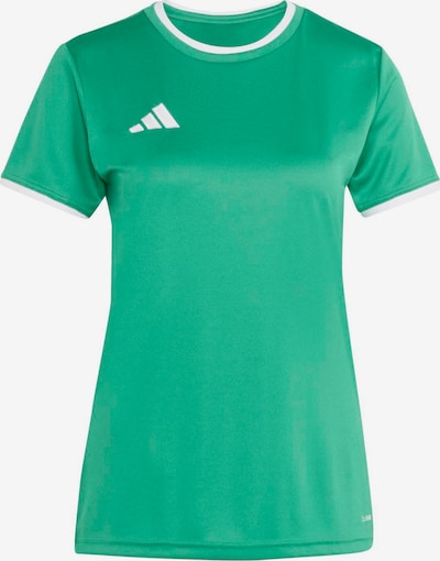 Sportiniai marškinėliai 'ENT26' iš ADIDAS PERFORMANCE, spalva – žalia / balta, Prekių apžvalga