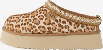 UGG Loafer 'Tazz Plains' värissä ruskea: etupuoli