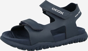 GEOX Sandaalit värissä sininen: etupuoli