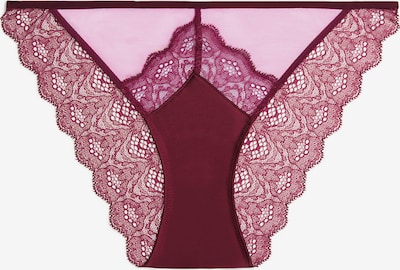 Calvin Klein Underwear Slip in burgunder, Produktansicht