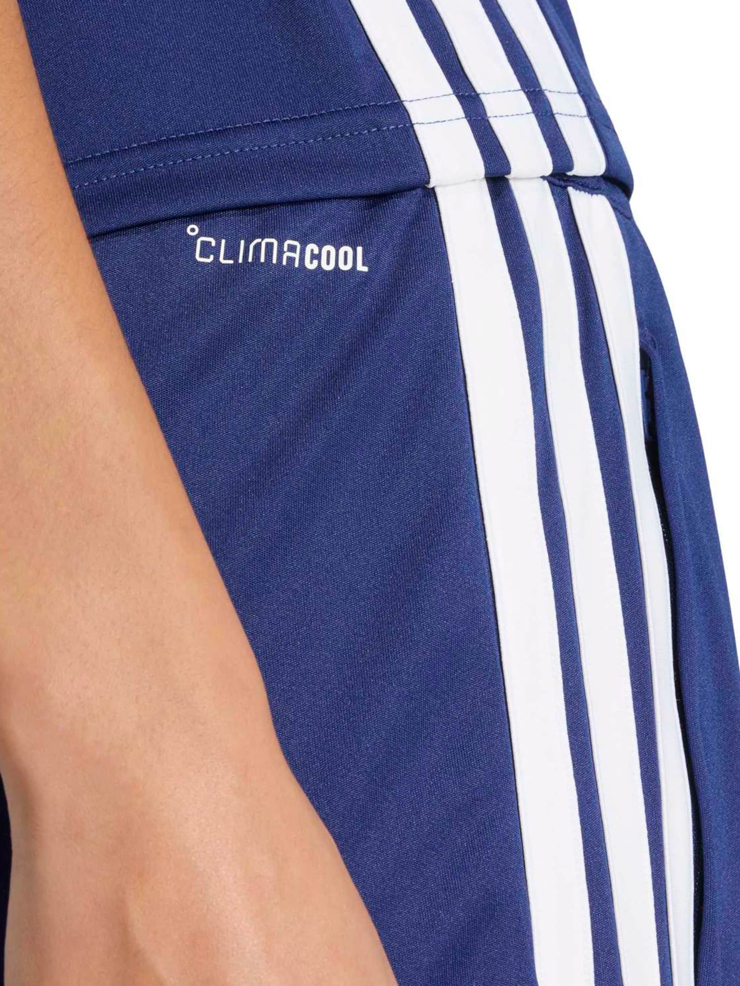 ADIDAS PERFORMANCE Regular Urheiluhousut 'TIRO ES SHO W' värissä sininen
