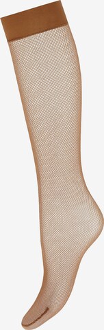 Wolford - Calcetines hasta la rodilla en amarillo: frente