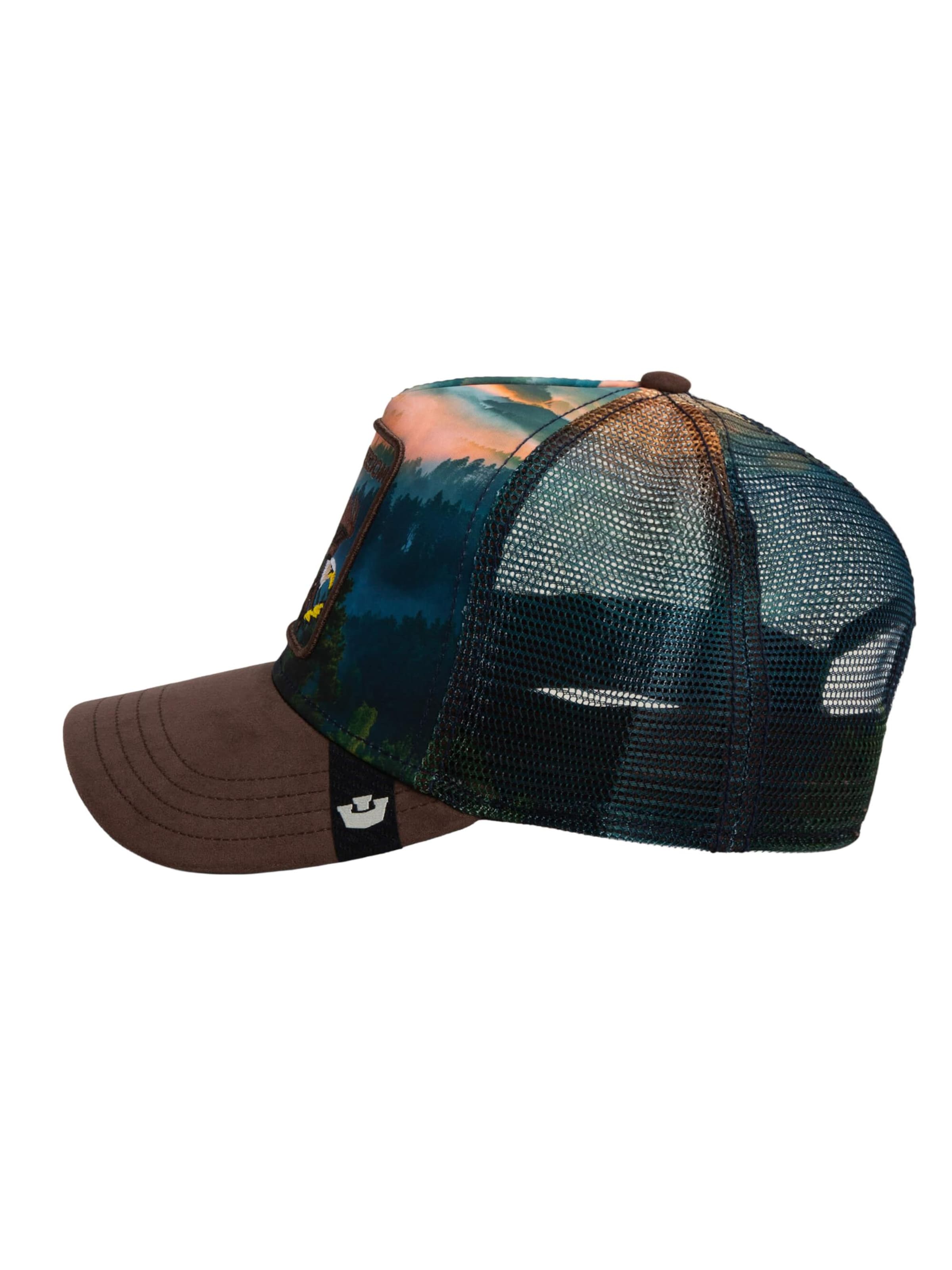 GOORIN Bros. Cap 'Eagle In The Element' in Mixed colors
