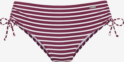 VENICE BEACH Bikinihousut koossa S värissä viininpunainen / valkoinen, Tuotenäkymä