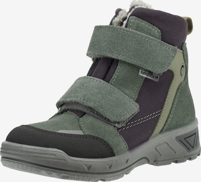 Pepino Stiefelette in 24 in grün / dunkelgrün / schwarz, Produktansicht