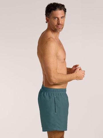 Pantaloncini da bagno di wavebreaker in blu
