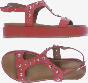INUOVO Sandals & High-Heeled Sandals in 37 in Red: front
