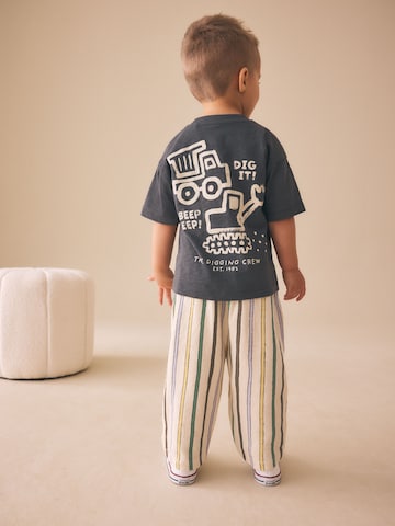 Next Wide leg Pants in Mixed colors